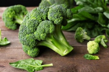 Konsumsi Brokoli Bisa Cegah kanker Usus Besar
