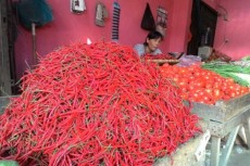 Audisi The Voice Kids Indonesia Season 3 Berlangsung di Istana Koki Medan Besok 