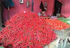 Harga Cabai di Medan Anjlok