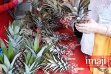 Jelang Imlek, Nanas Kecil Mulai Diburu