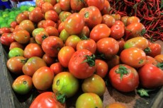 Studi: Konsumsi Tomat Bisa Bantu Perbaiki Paru-paru Perokok